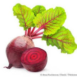 beets photo